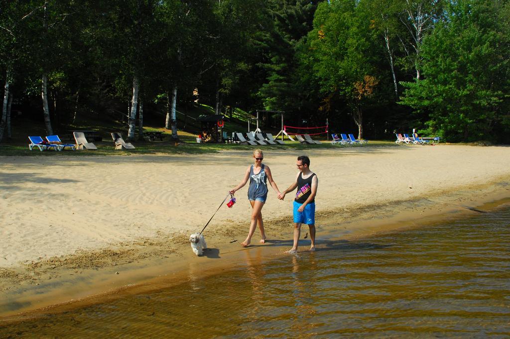 The Pines Cottage Resort Oxtongue Lake Exterior foto