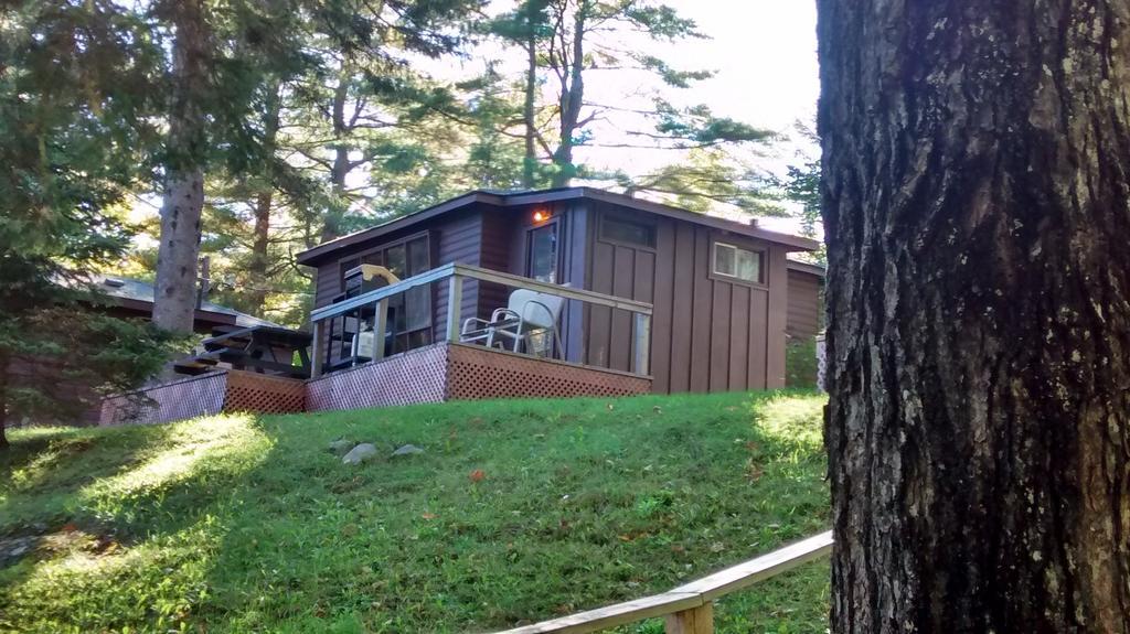 The Pines Cottage Resort Oxtongue Lake Quarto foto